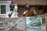 Moos_Eveline_Moos_Roland-002.jpg