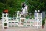 Moos_Roland_Gustav_Grey-001.jpg