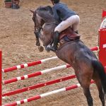 221104_Hallenspringen_1569.jpg