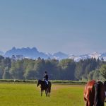 Pferdesporttage: Impressionen vom Samstag, 01.06.2019